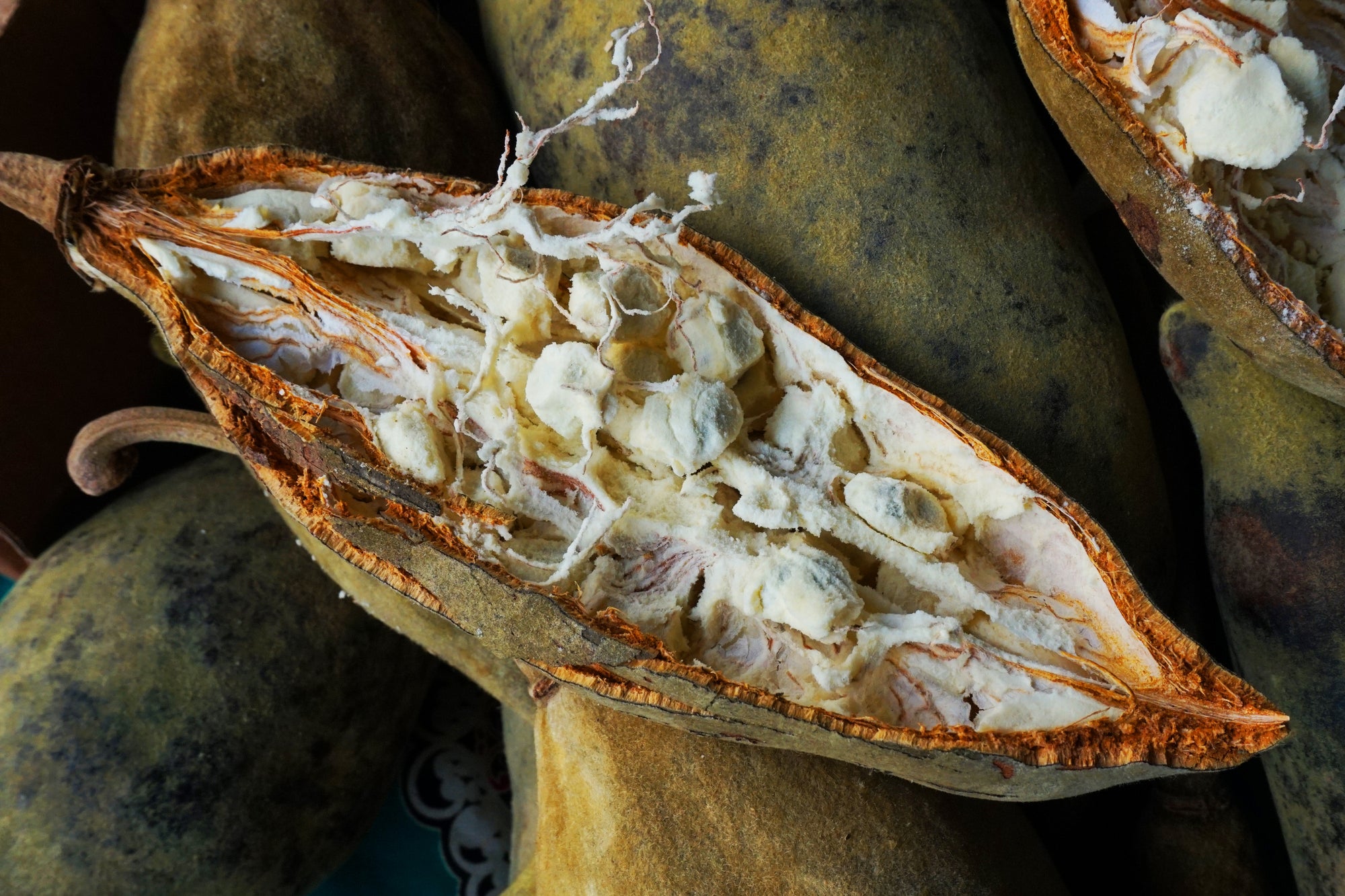 Baobab Fruit 