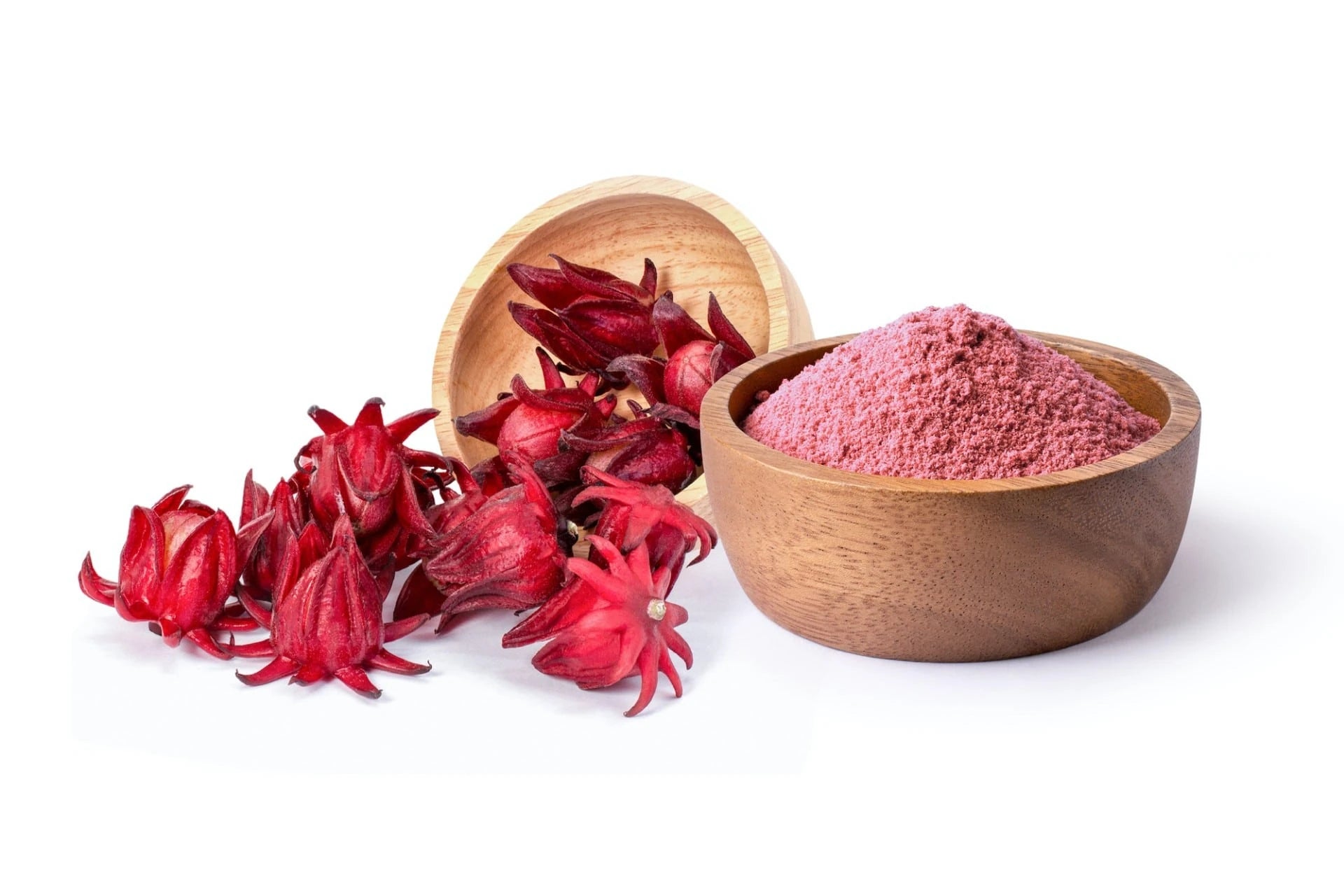 Hibiscus Plant and Hibiscus Powder