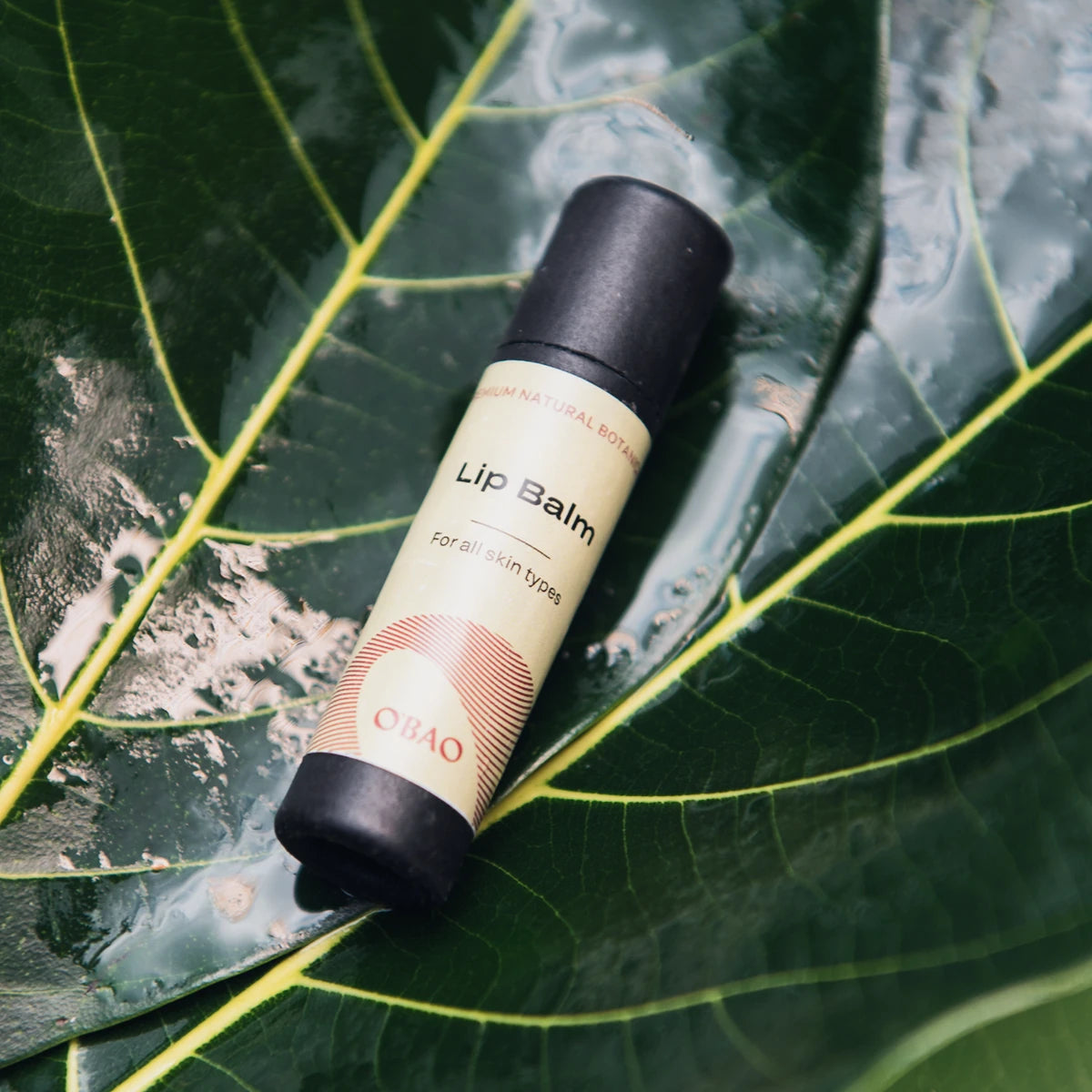 Lip Balm – rich, nourishing formula for soft, healthy lips