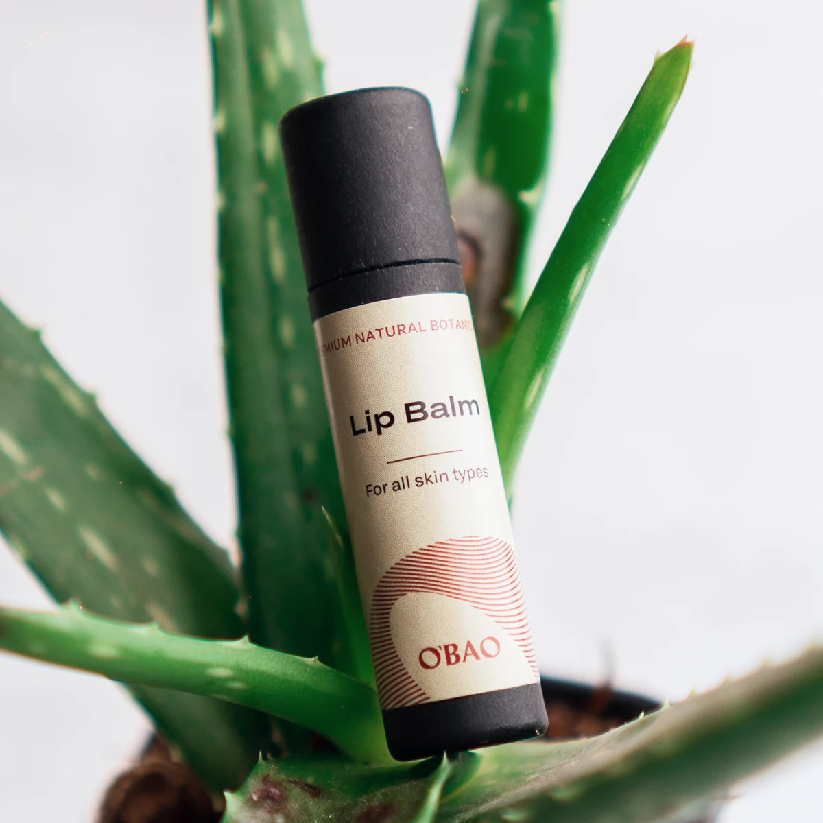 Lip Balm – soothing formula to protect and moisturize lips all day long